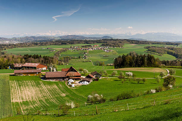 Mountain Heitersberg with view to Uetliberg, near Zurich, Switzerland